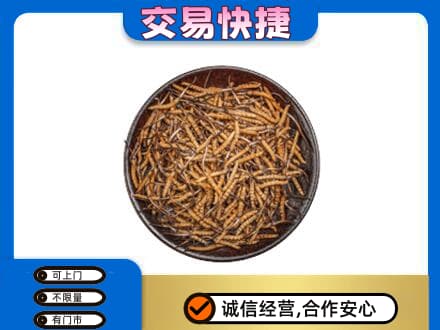 周口礼品回收虫草.jpg