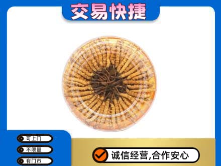 周口礼品回收虫草礼盒.jpg